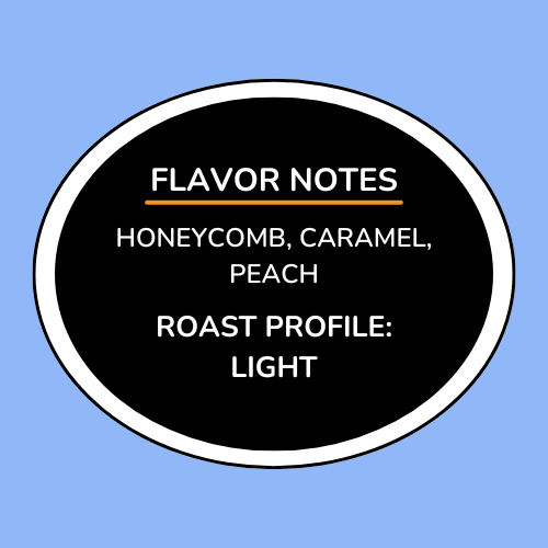 Honduras Finca El Puente SL-28