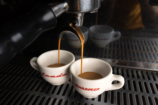 Testa D'Oro Espresso Regular