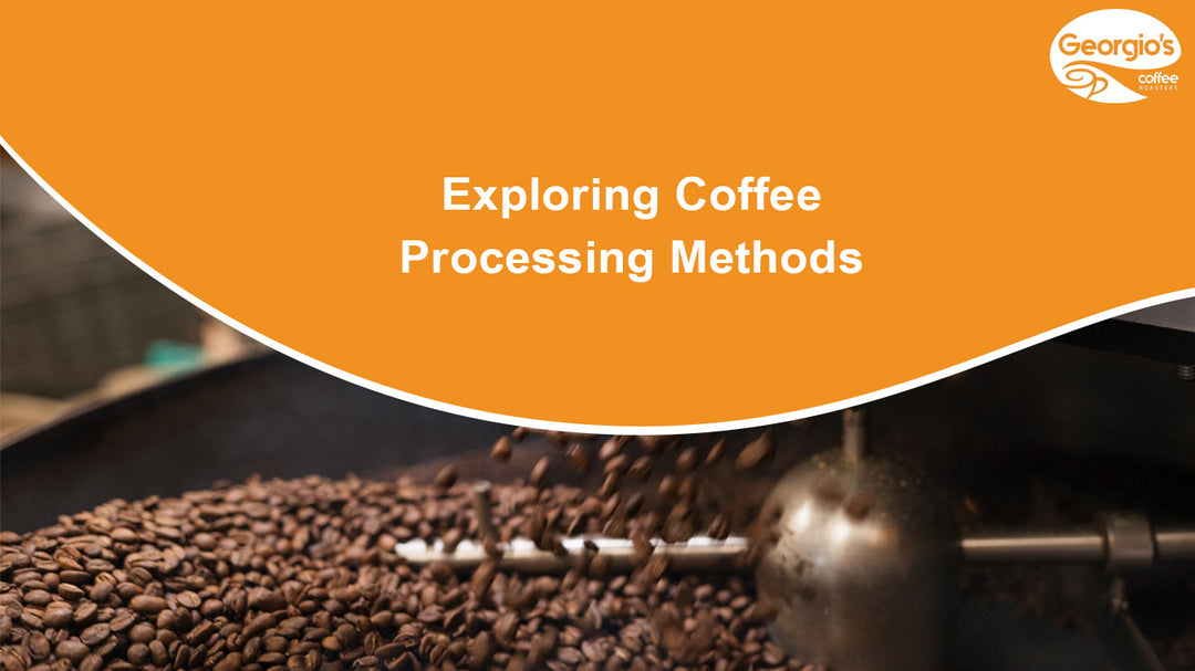 Exploring Coffee Processing Methods