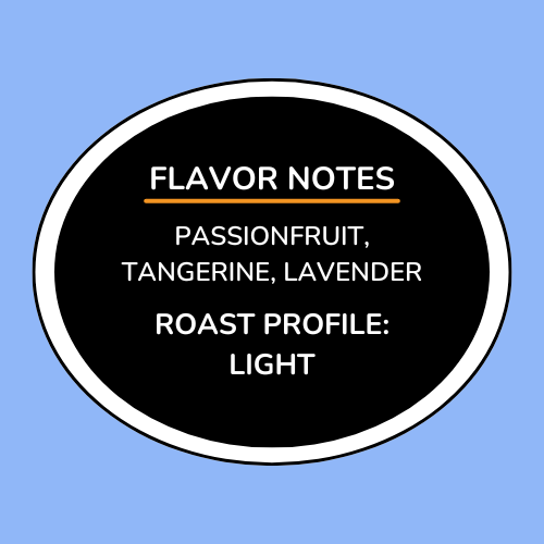 Colombia Bourbon Passionfruit Co-ferment