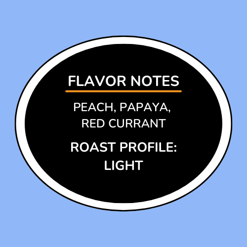 Colombia Finca La Esperanza Pink Bourbon