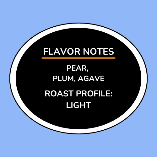 Colombia Finca La Primavera