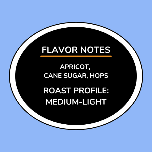 Colombia Finca Loma Verde Chiroso