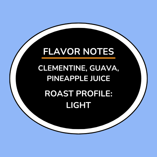 Colombia Huila Pacamara