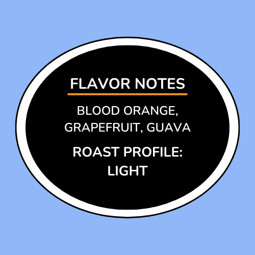 Colombia José Elcias Martínez - Pink Bourbon