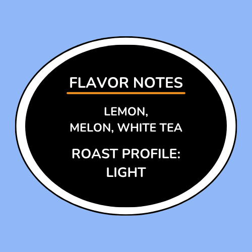 Ethiopia Kayon Mountain Washed Organic