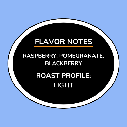 Ethiopia Kembata Natural