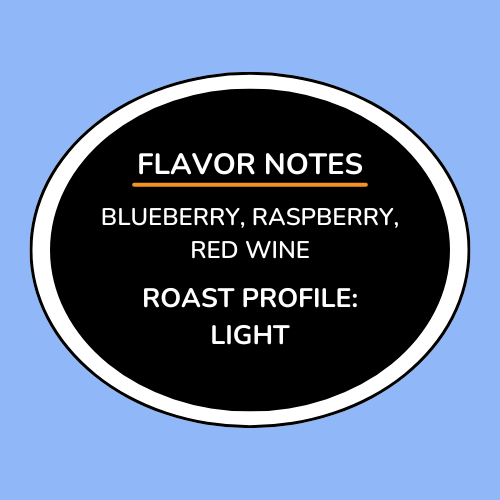 Ethiopia Koke Red Honey