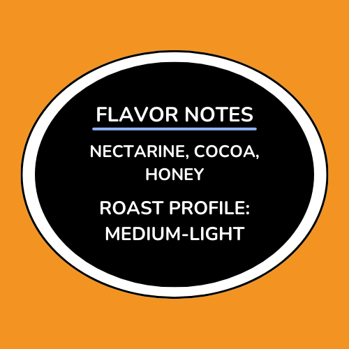 Honduras Fredy Sabillon Parainema Honey