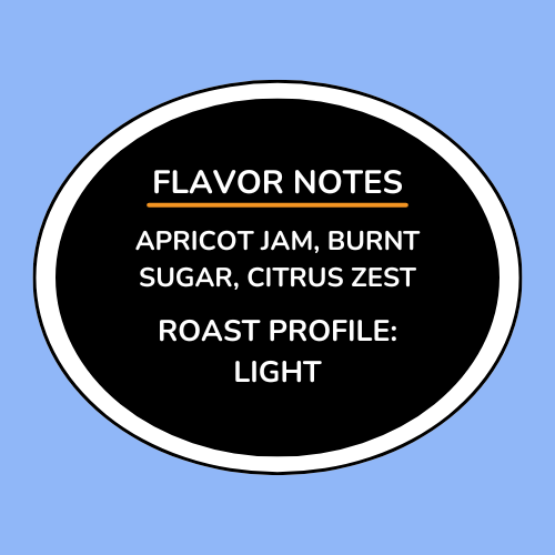 Kenya Gatuya AA